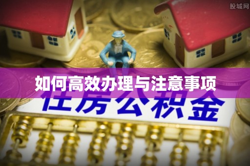 海宁如何高效办理与注意事项