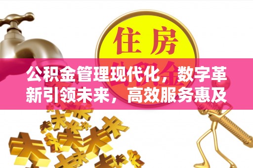 陇南公积金管理现代化，数字革新引领未来，高效服务惠及民生