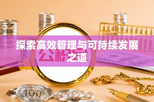 龙沙探索高效管理与可持续发展之道