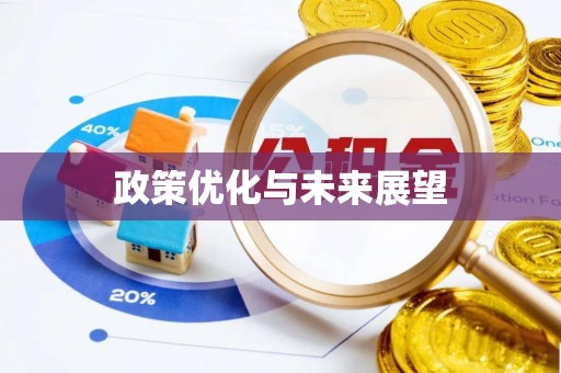 平阳政策优化与未来展望