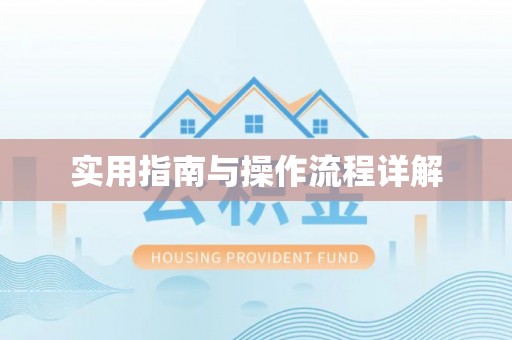 伽师实用指南与操作流程详解