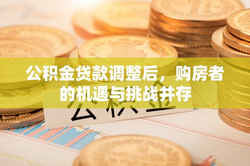 滨湖公积金贷款调整后，购房者的机遇与挑战并存