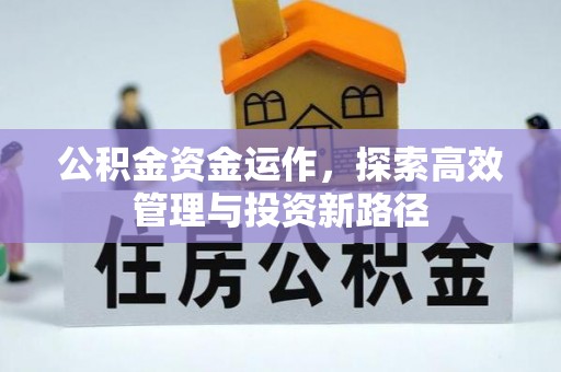 巴东公积金资金运作，探索高效管理与投资新路径