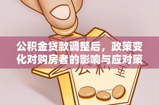 卑南公积金贷款调整后，政策变化对购房者的影响与应对策略