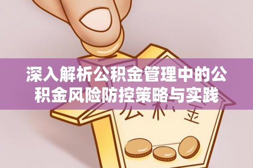 卑南深入解析公积金管理中的公积金风险防控策略与实践