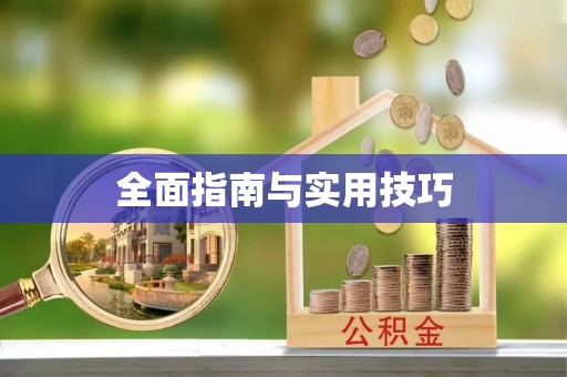 狮子山全面指南与实用技巧
