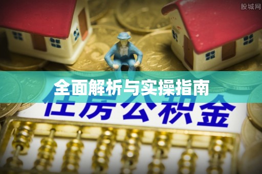 善化全面解析与实操指南
