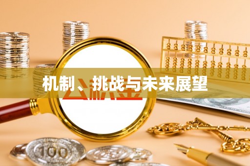善化机制、挑战与未来展望