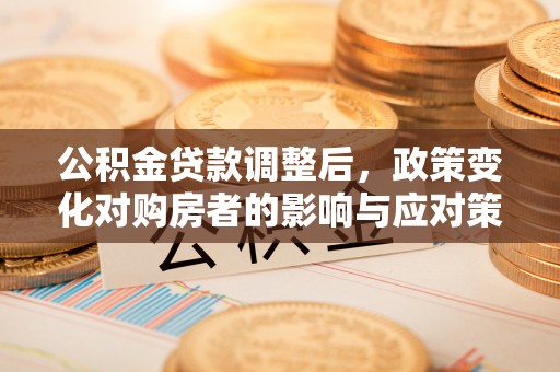 沈阳公积金贷款调整后，政策变化对购房者的影响与应对策略