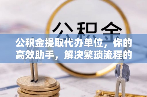 龙沙公积金提取代办单位，你的高效助手，解决繁琐流程的不二之选