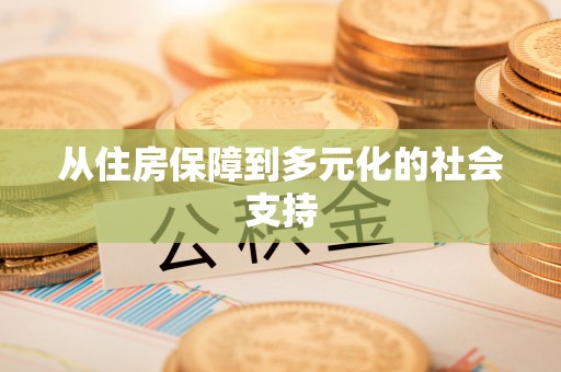 善化从住房保障到多元化的社会支持