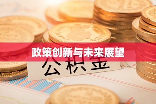 昭阳政策创新与未来展望