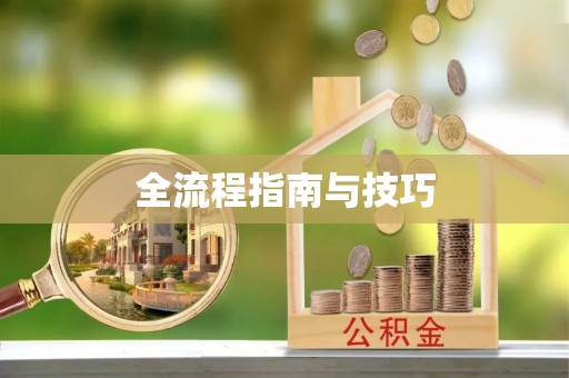 平武全流程指南与技巧