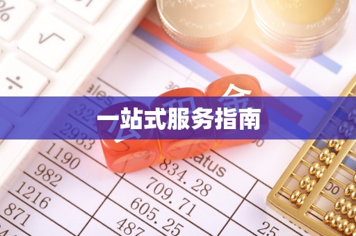 善化一站式服务指南