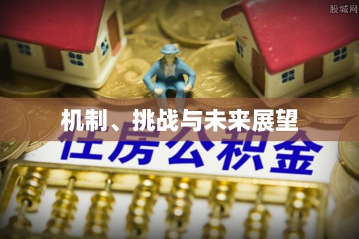 金昌机制、挑战与未来展望