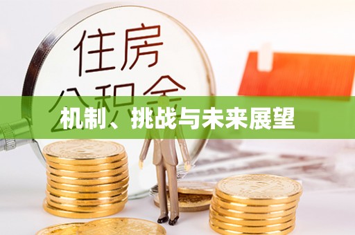 海安机制、挑战与未来展望